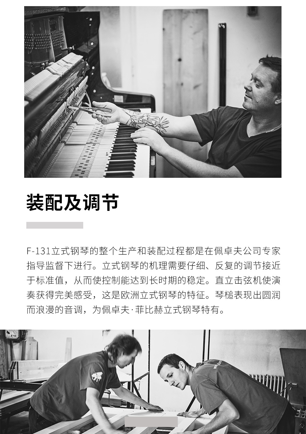 菲比赫F-131